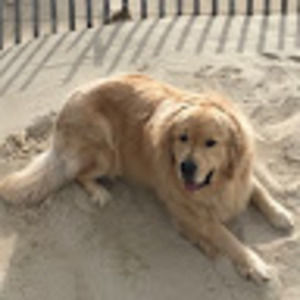 Meet your Posher, Patrick